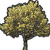 TreesDesigner