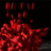 XplodeGenerator